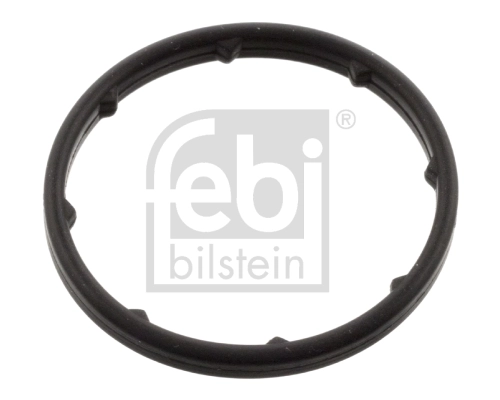 Seal Ring, oil cooler (lubrication)